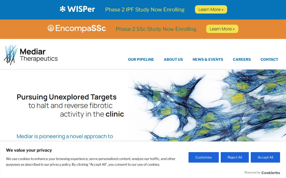 Mediar Therapeutics website preview