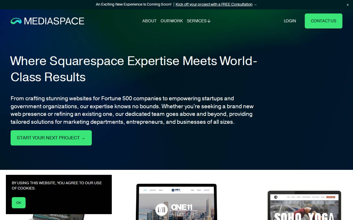Mediaspace website preview