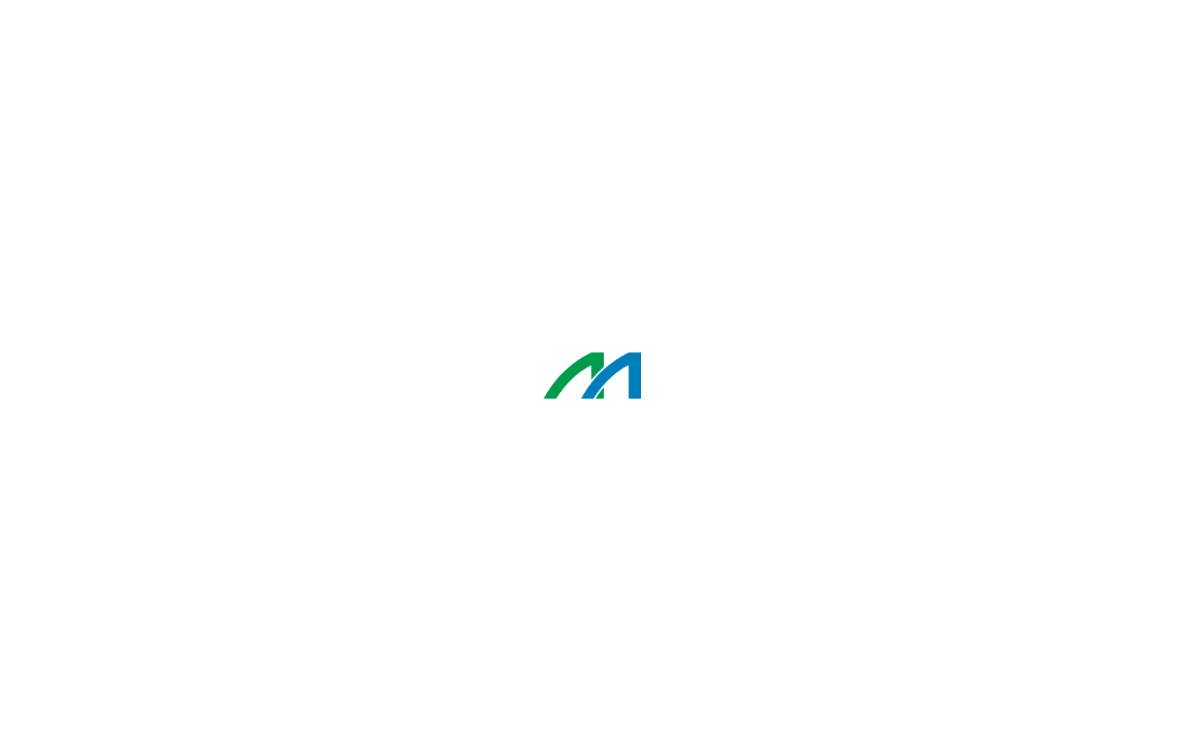 Medical System website preview