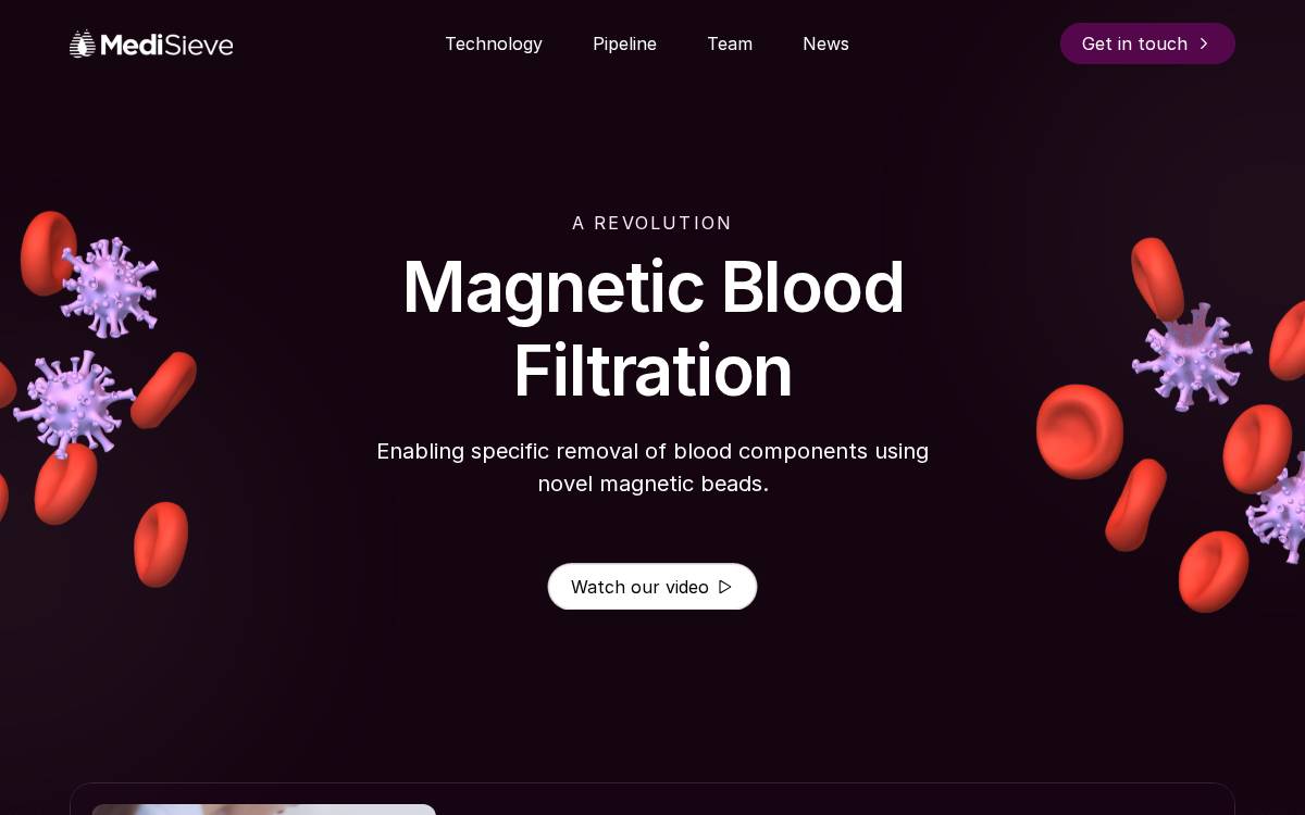 Medisieve website preview