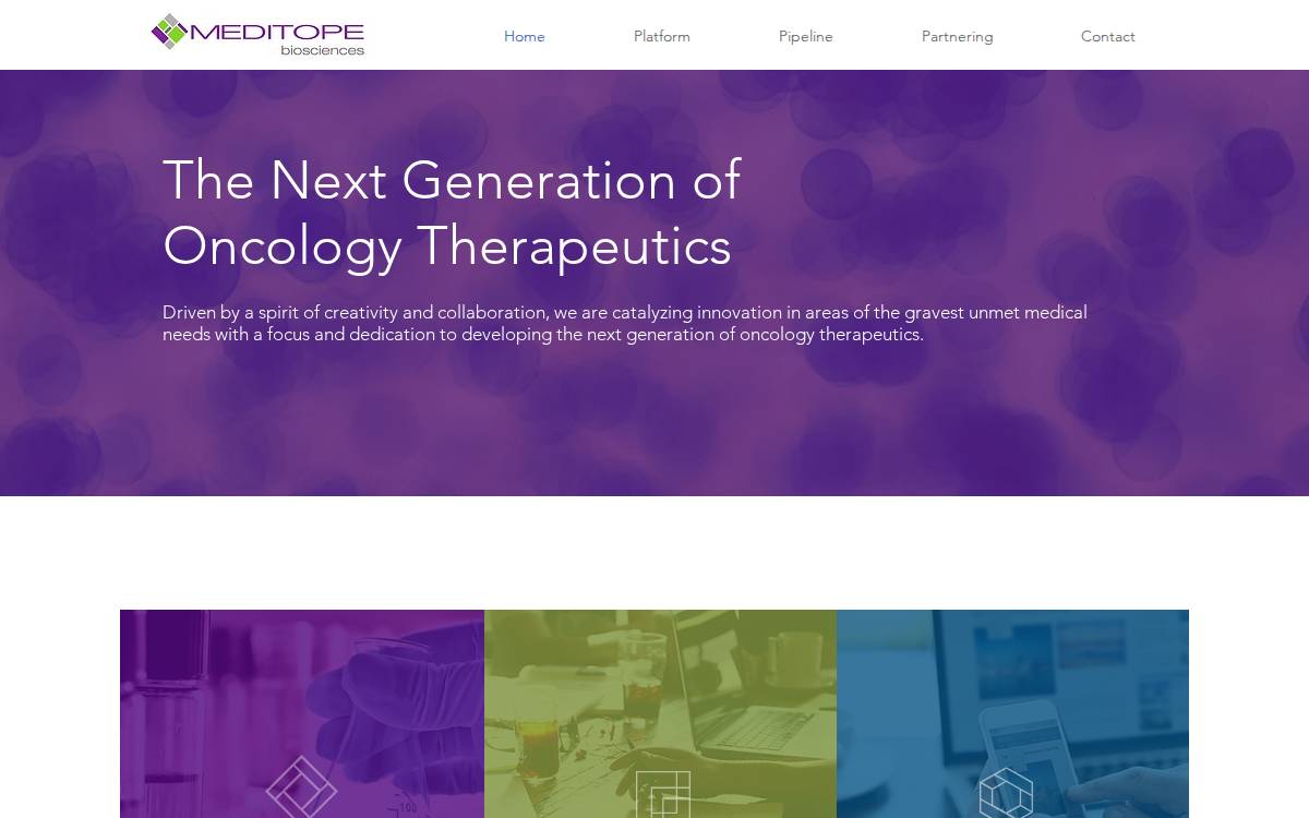 Meditope Biosciences website preview
