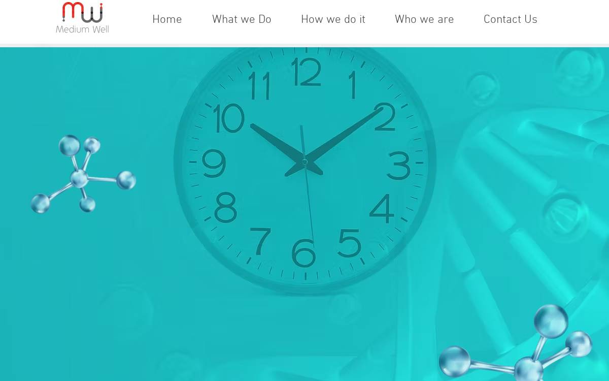 Medium Well website preview