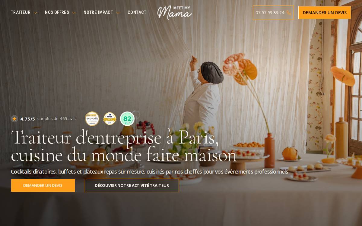 Meet my Mama website preview