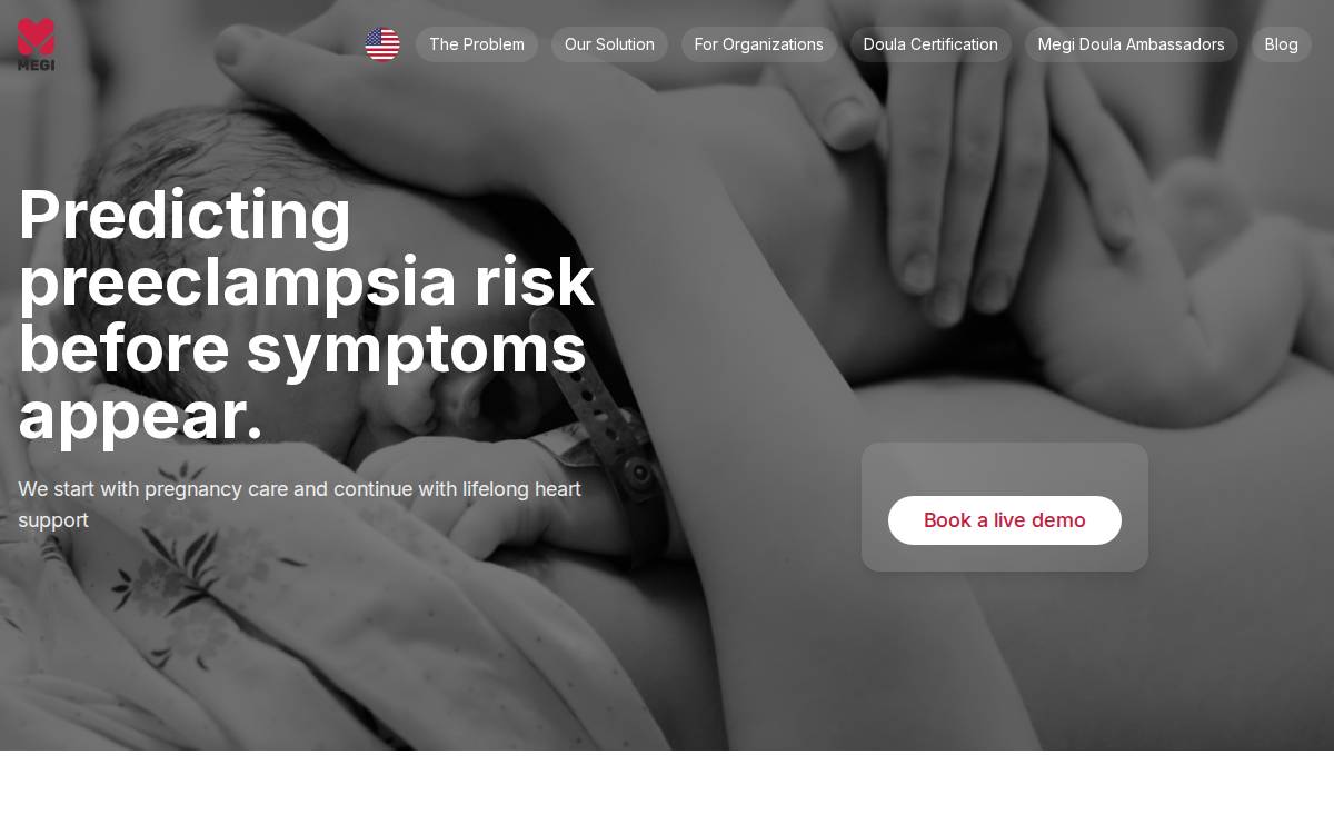 Megi website preview