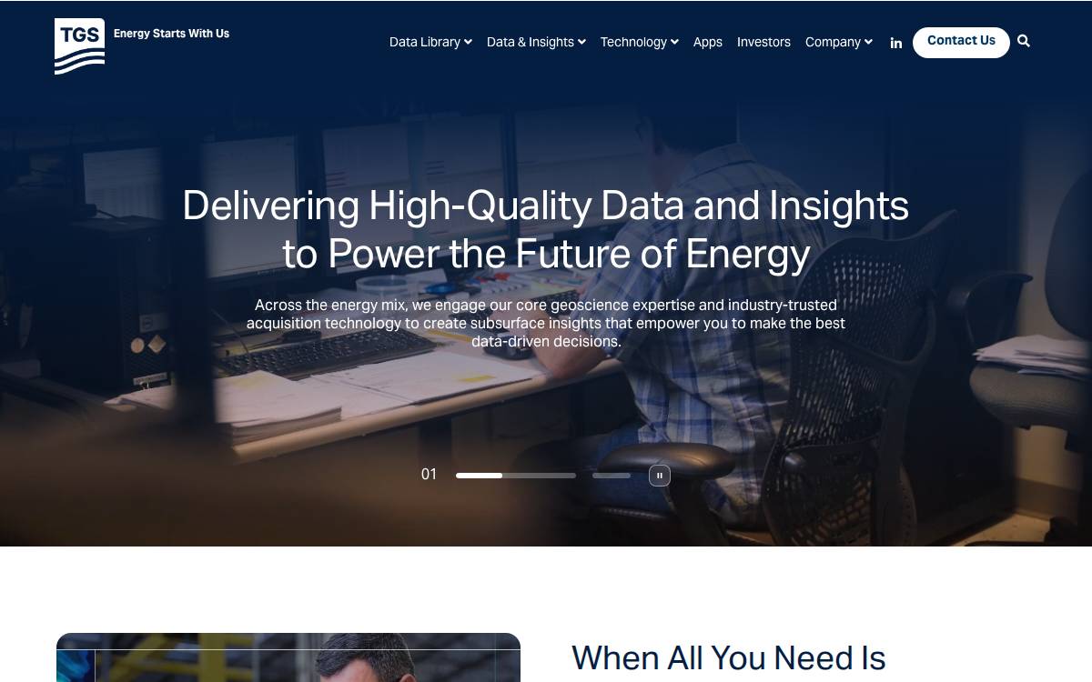 Megseis website preview