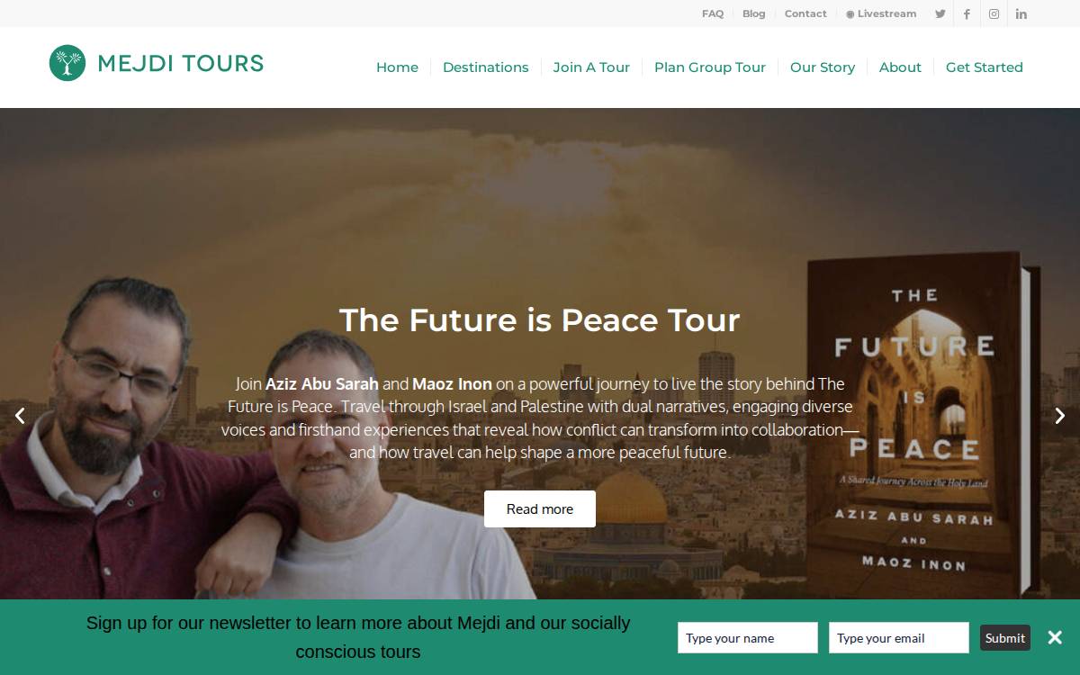Mejdi website preview