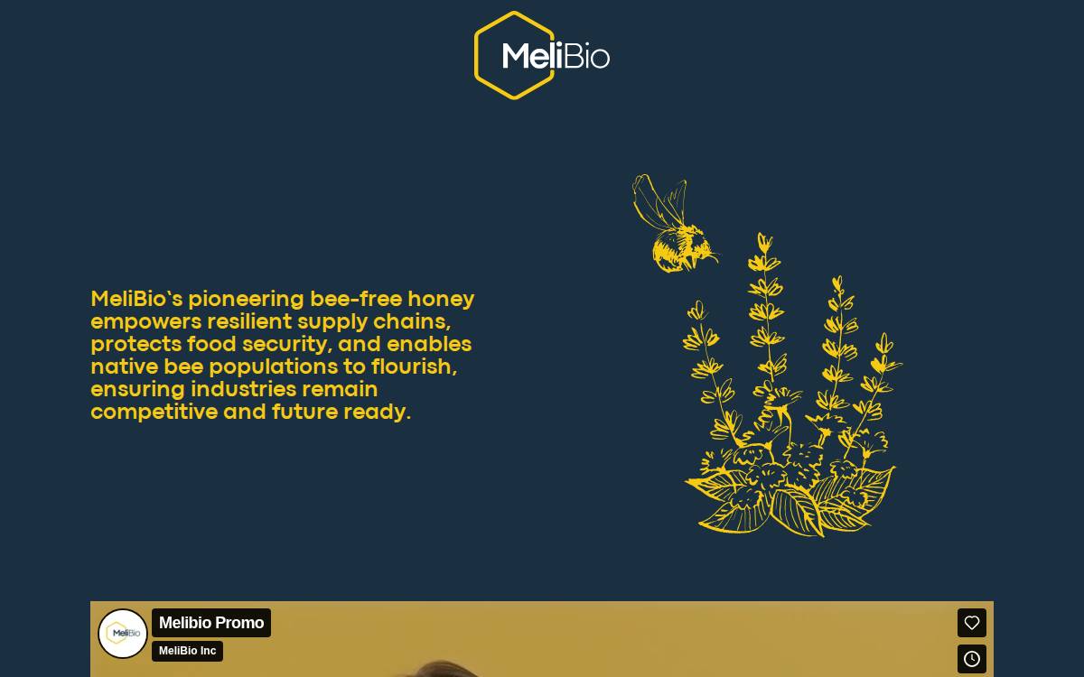 MeliBio website preview