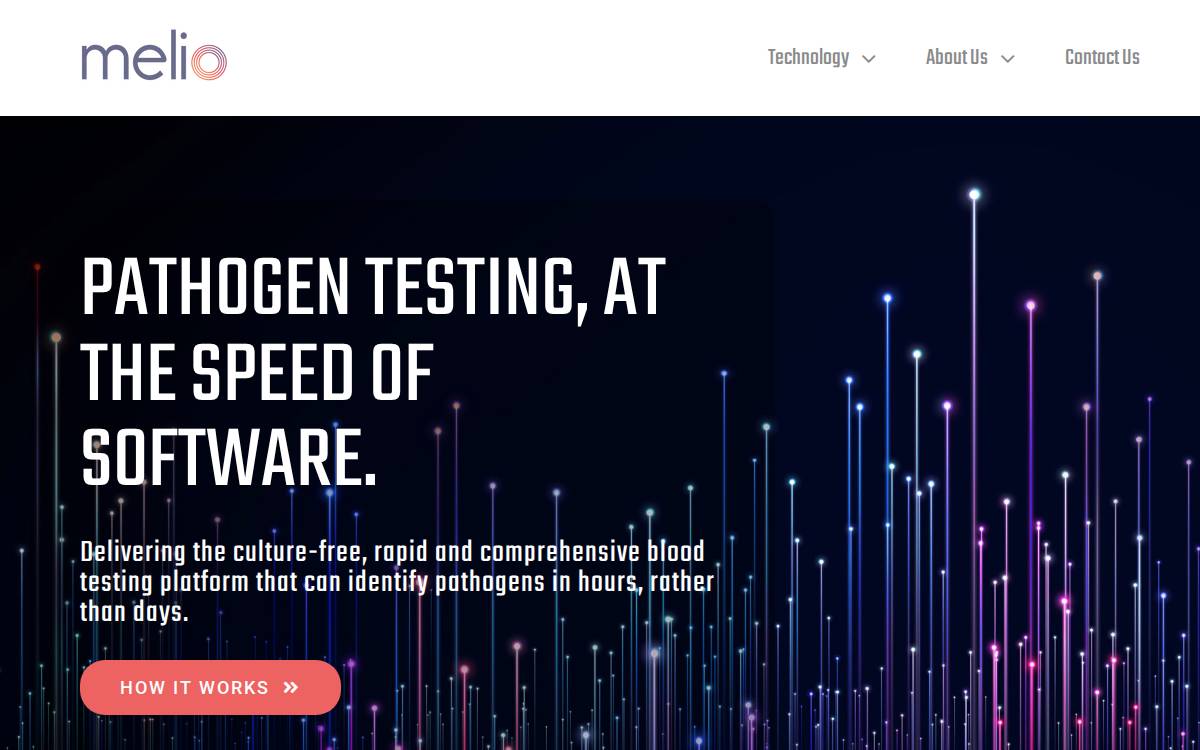 Melio website preview