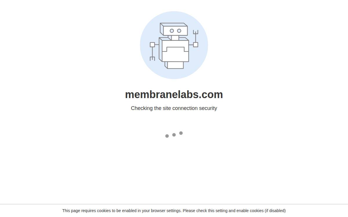 Membrane website preview