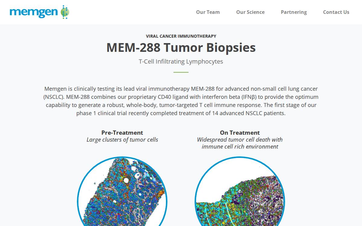Memgen website preview