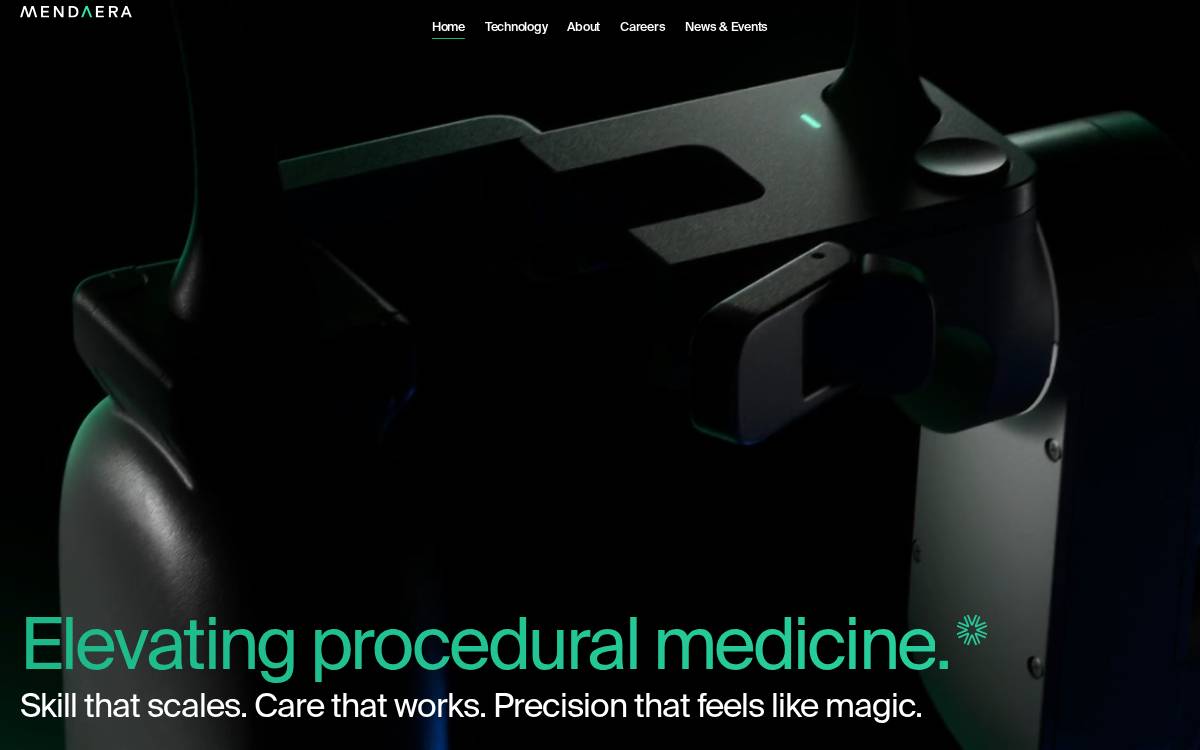 Mendaera website preview