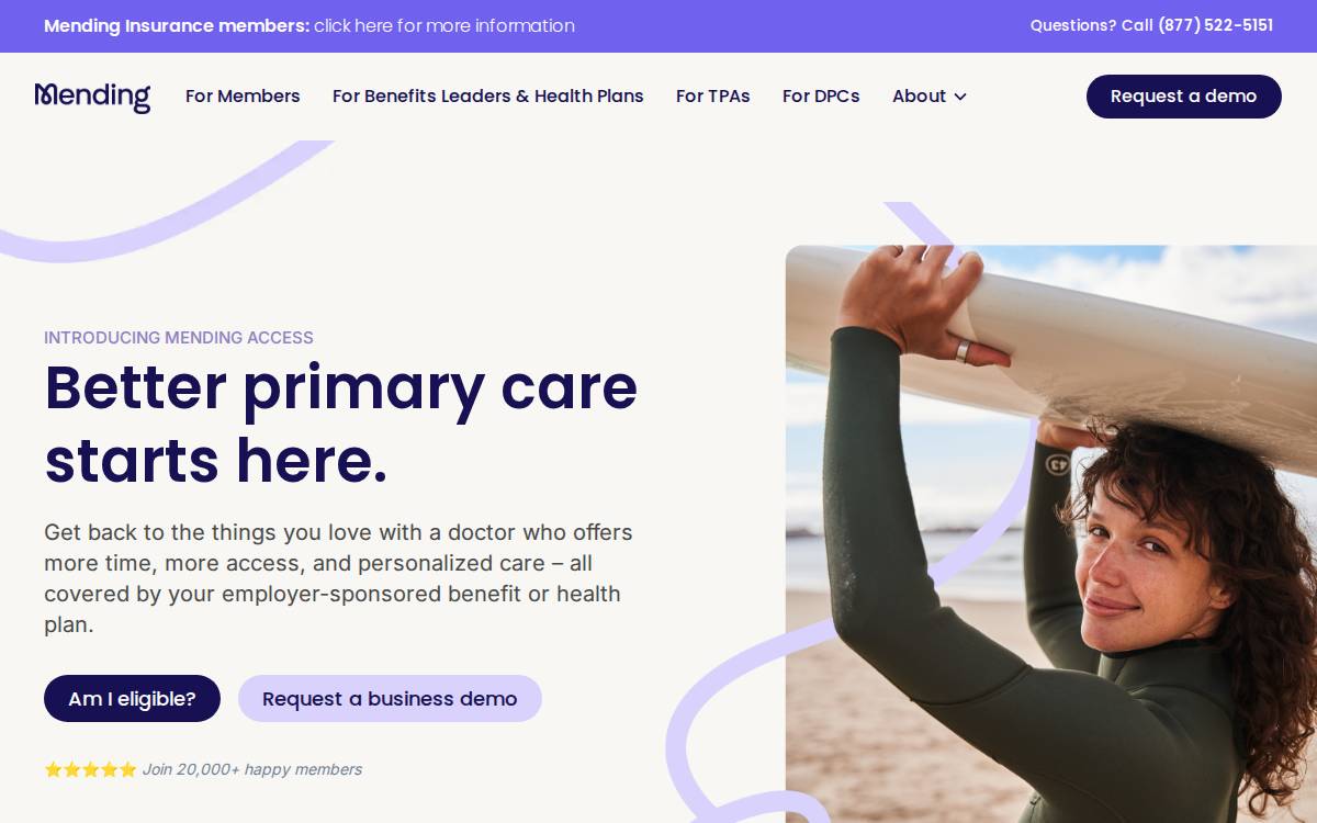 Mending website preview