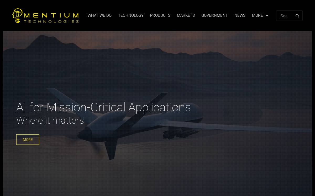 Mentium website preview