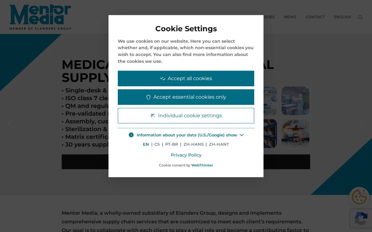 Mentor Media 2 website preview