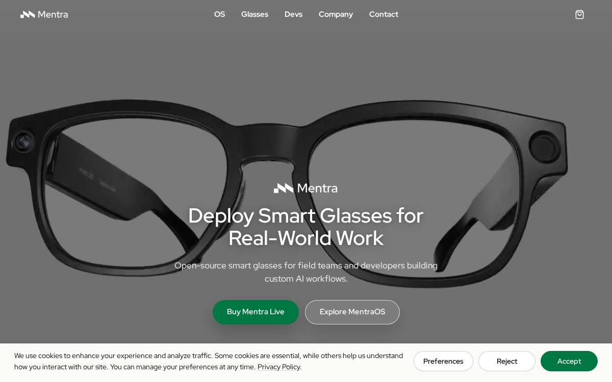 Mentra website preview