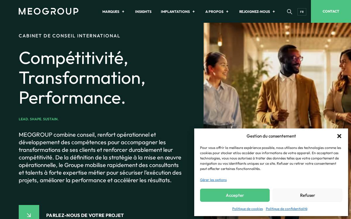 Meogroup website preview