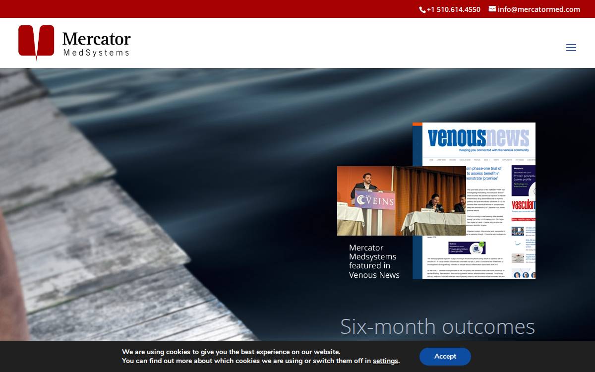 Mercator MedSystems website preview