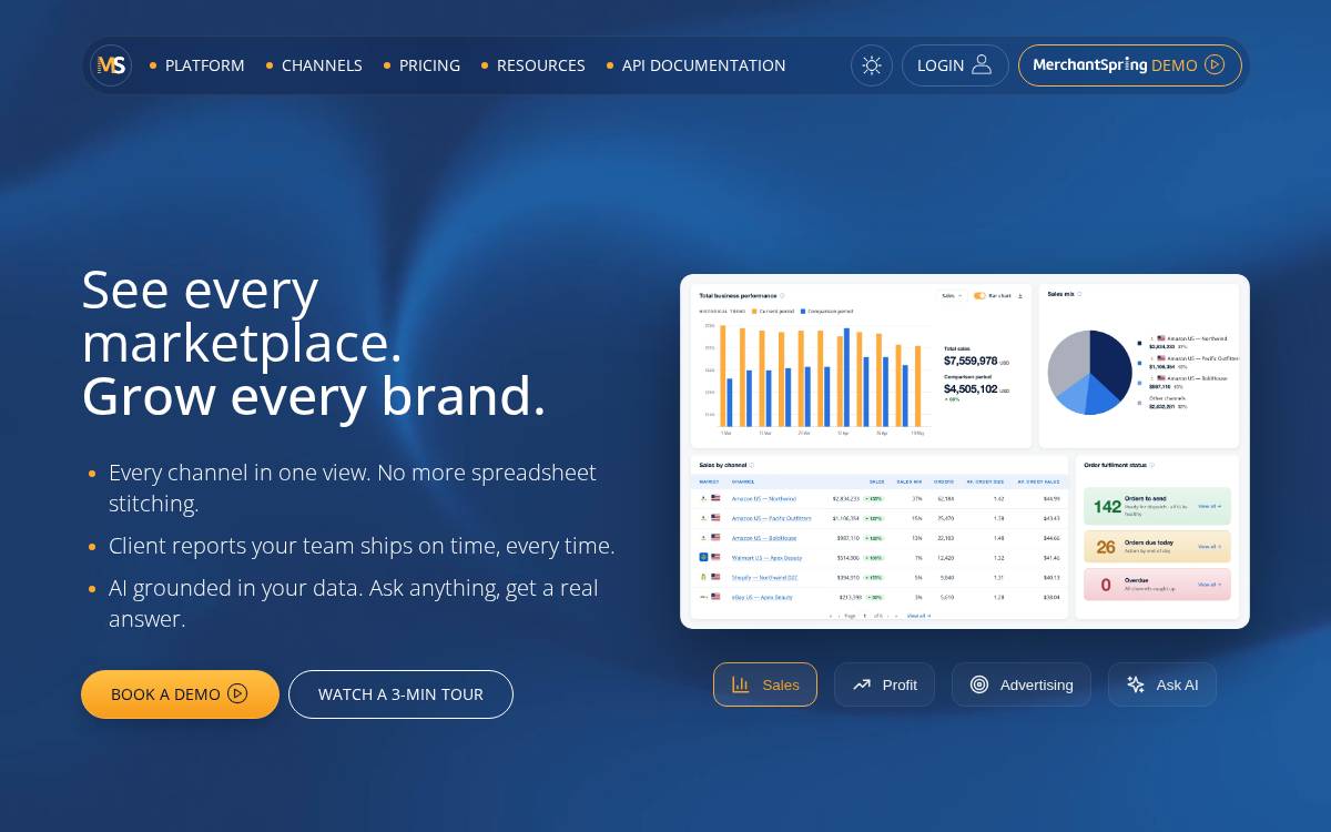 Merchantspring website preview