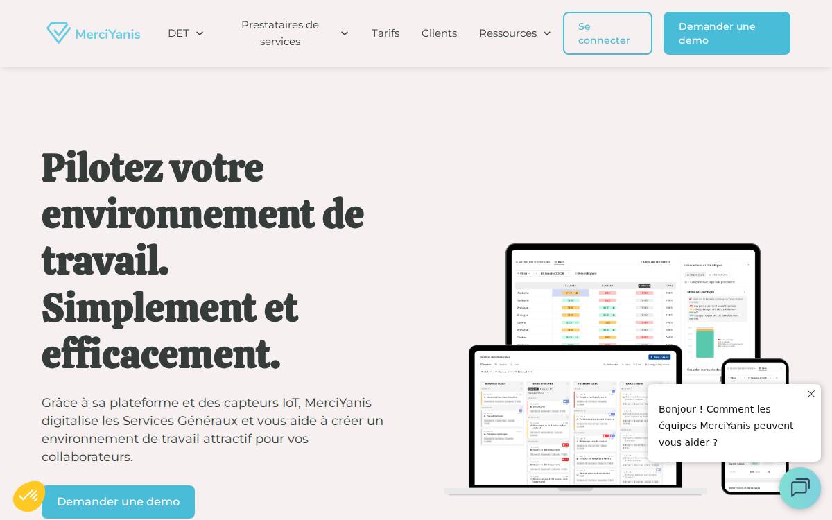MerciYanis website preview
