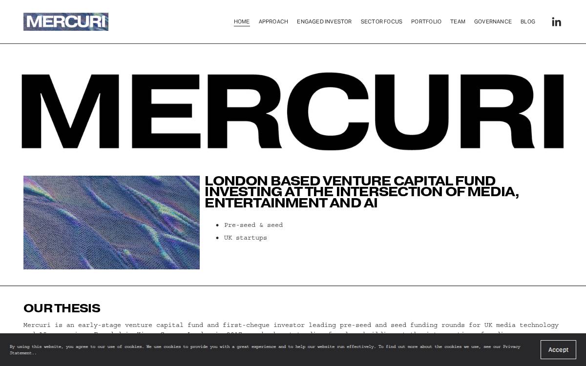 Mercuri website preview