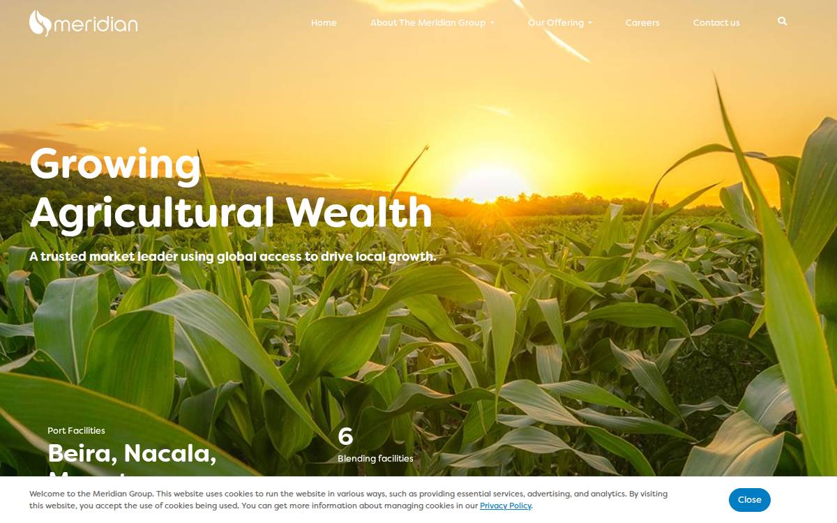 meridian website preview