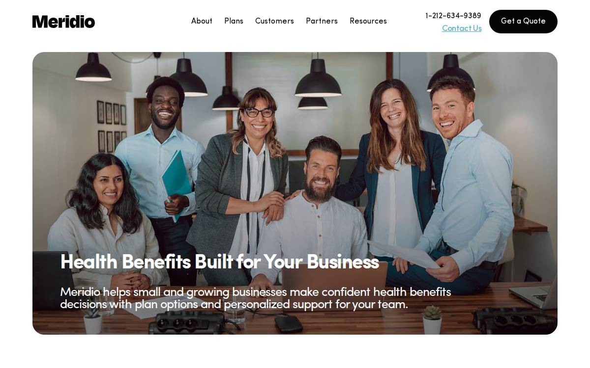 Meridio website preview