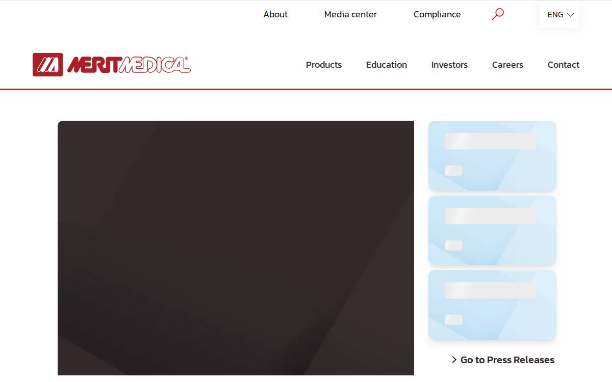Merit Medical website preview