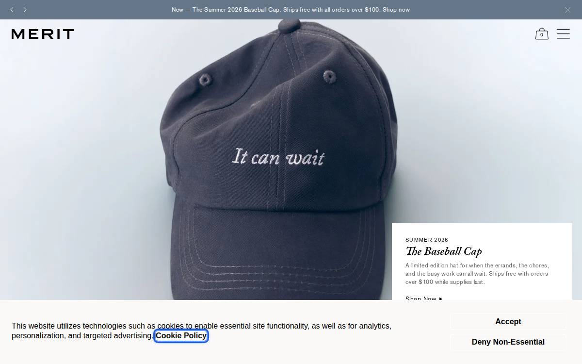 Merit website preview