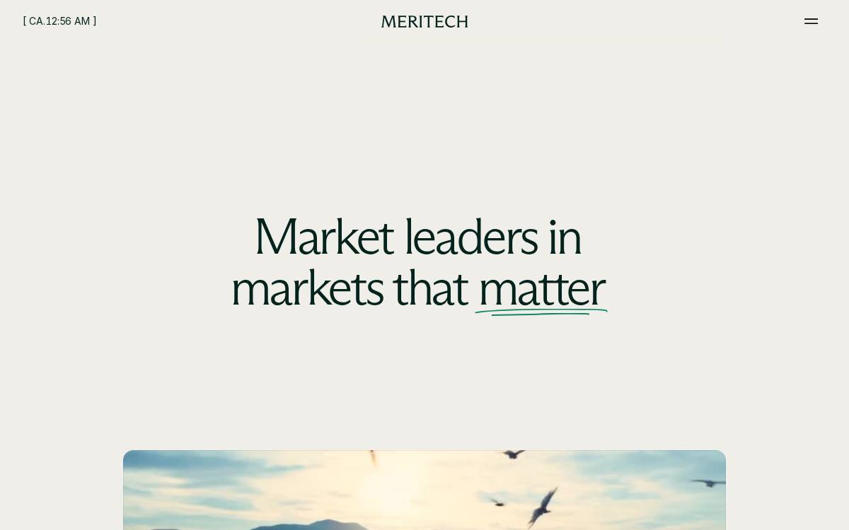 Meritechcapital website preview