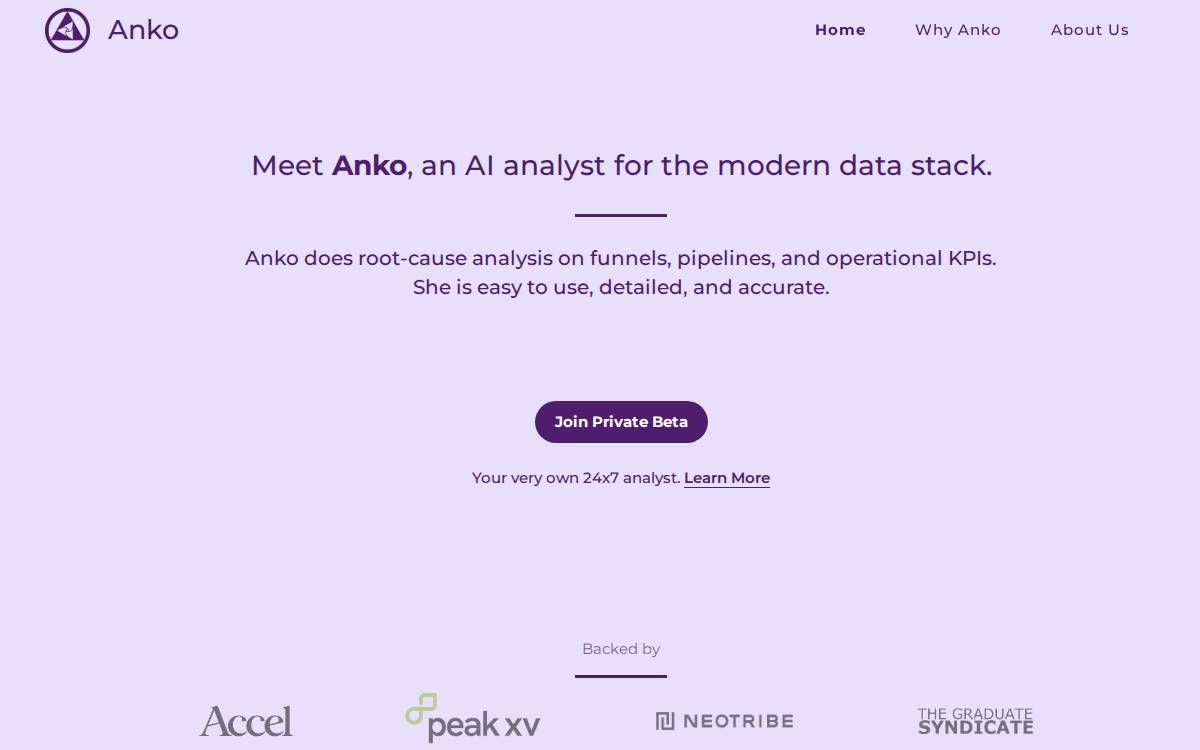Meritic website preview