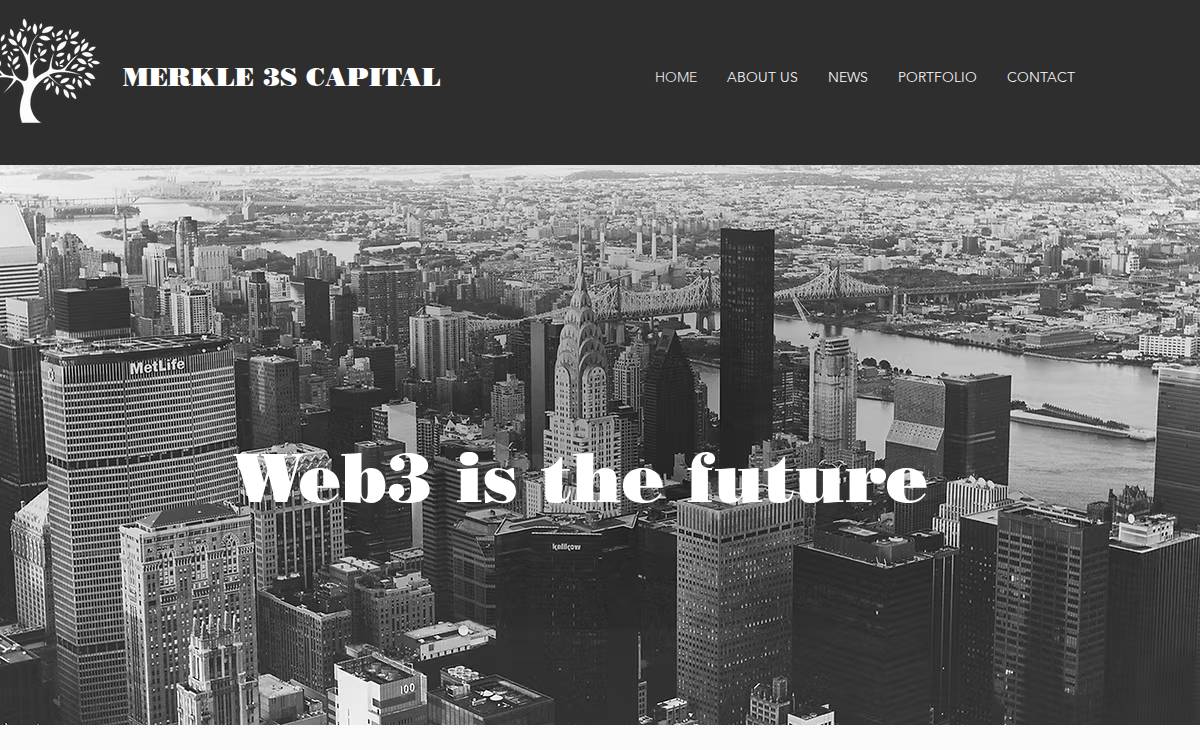 Merkle 3s Capital website preview