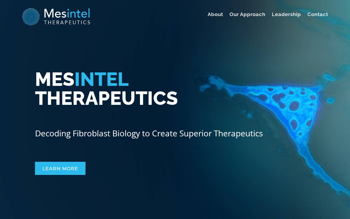 Mesintel Therapeutics website preview