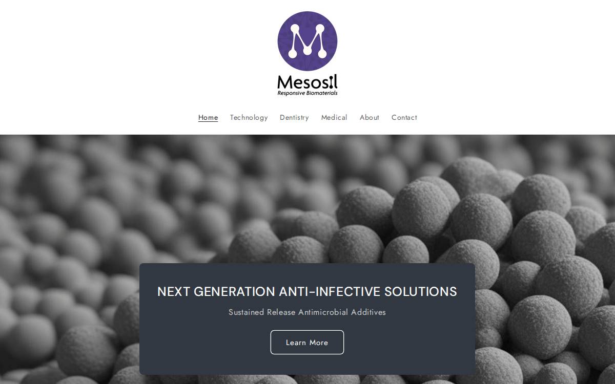 Mesosil website preview