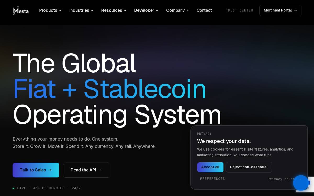 Mesta website preview