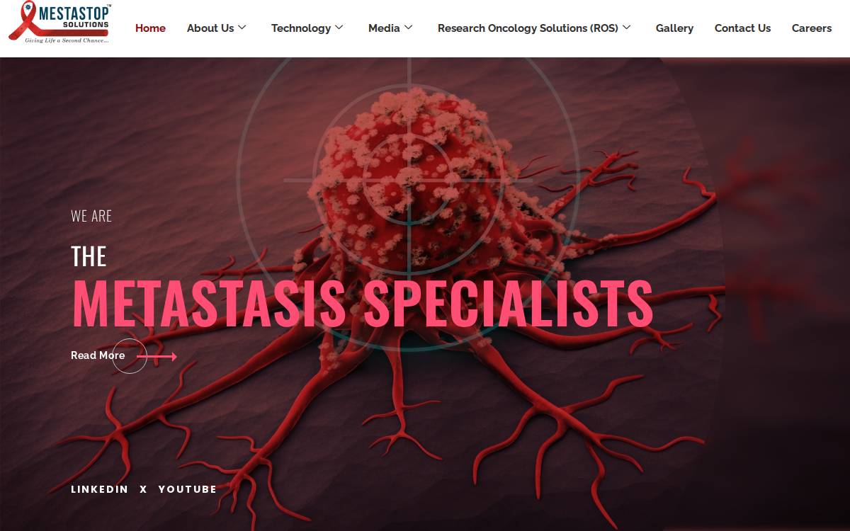 MESTASTOP SOLUTIONS website preview