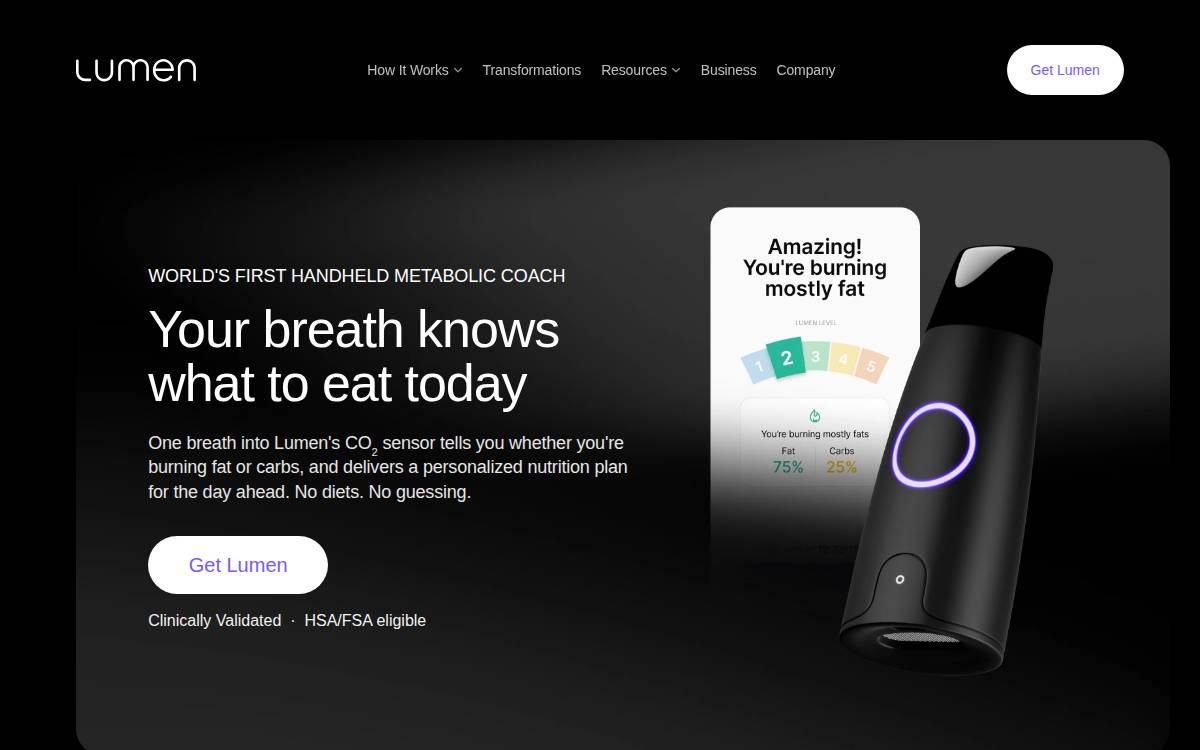 Meta Flow website preview