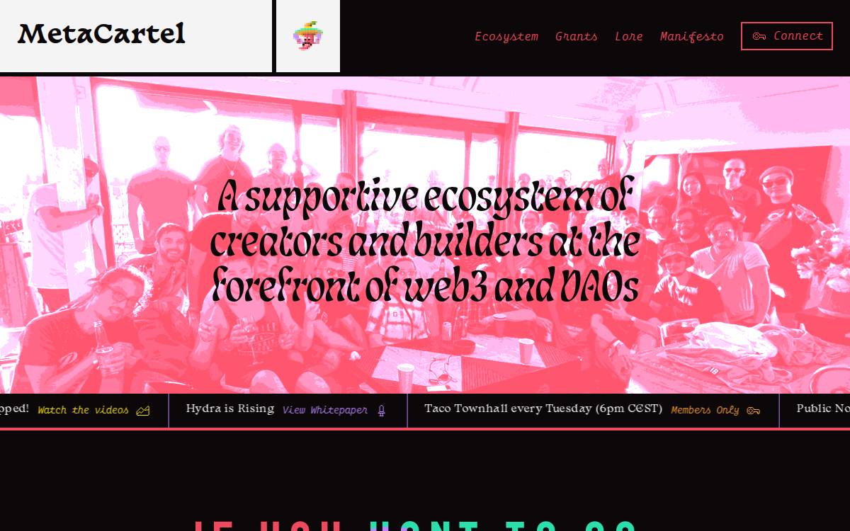 Metacartel website preview