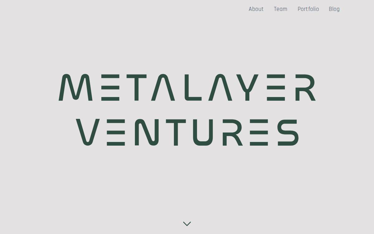 Metalayer Ventures website preview