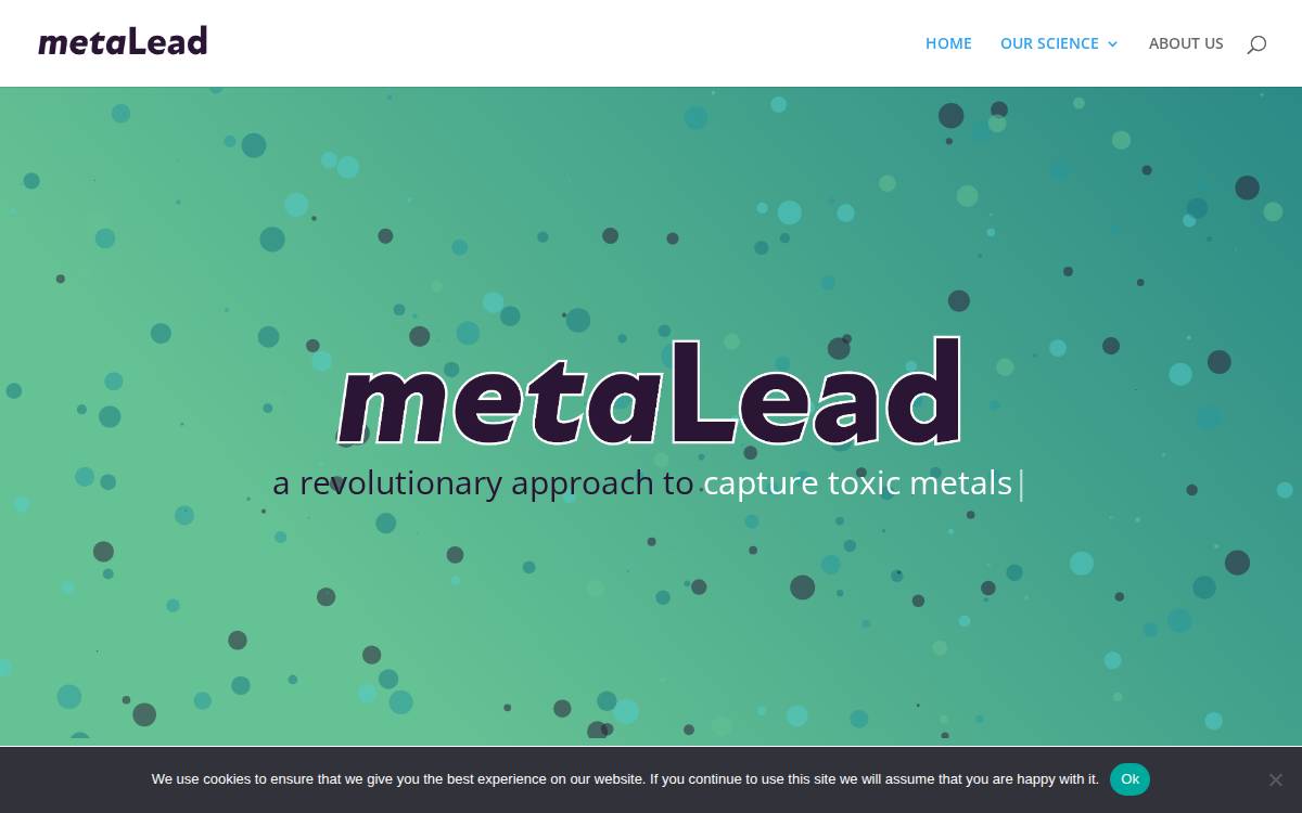 Metalead website preview