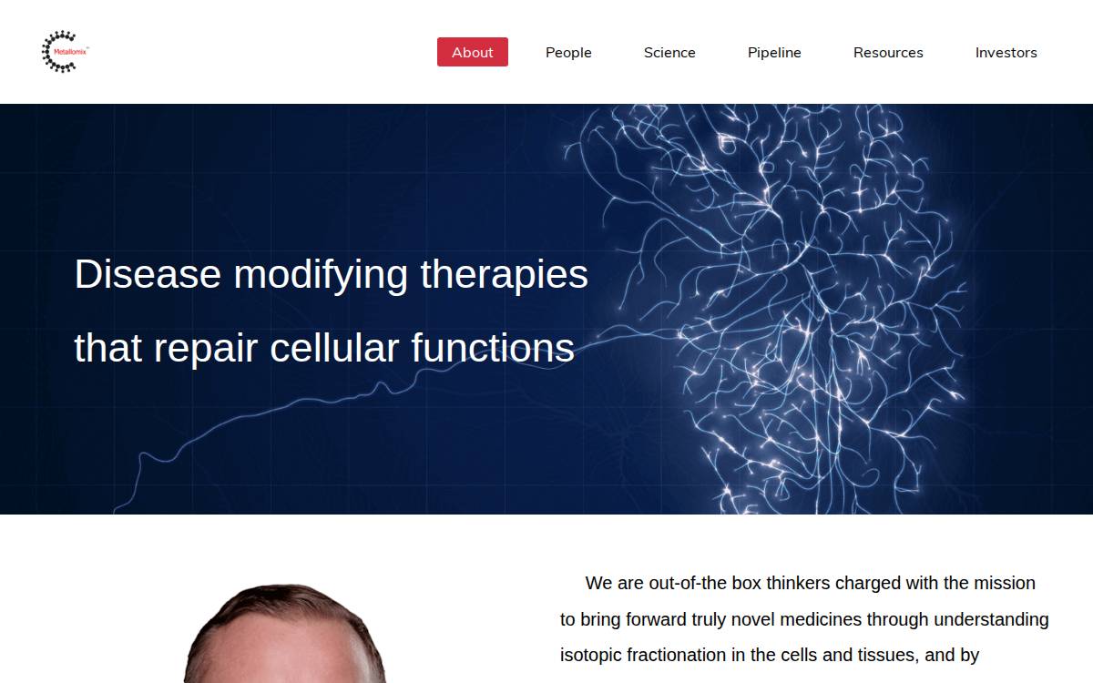 Metallomix website preview