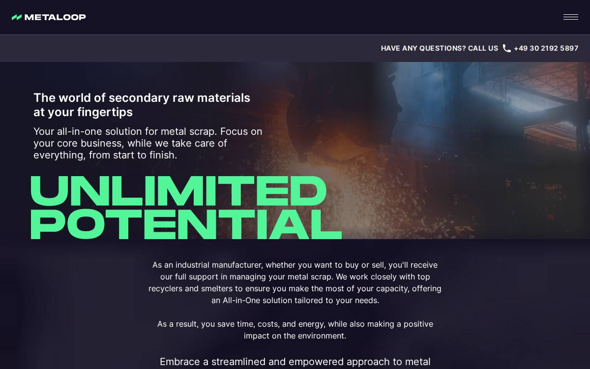 Metaloop website preview