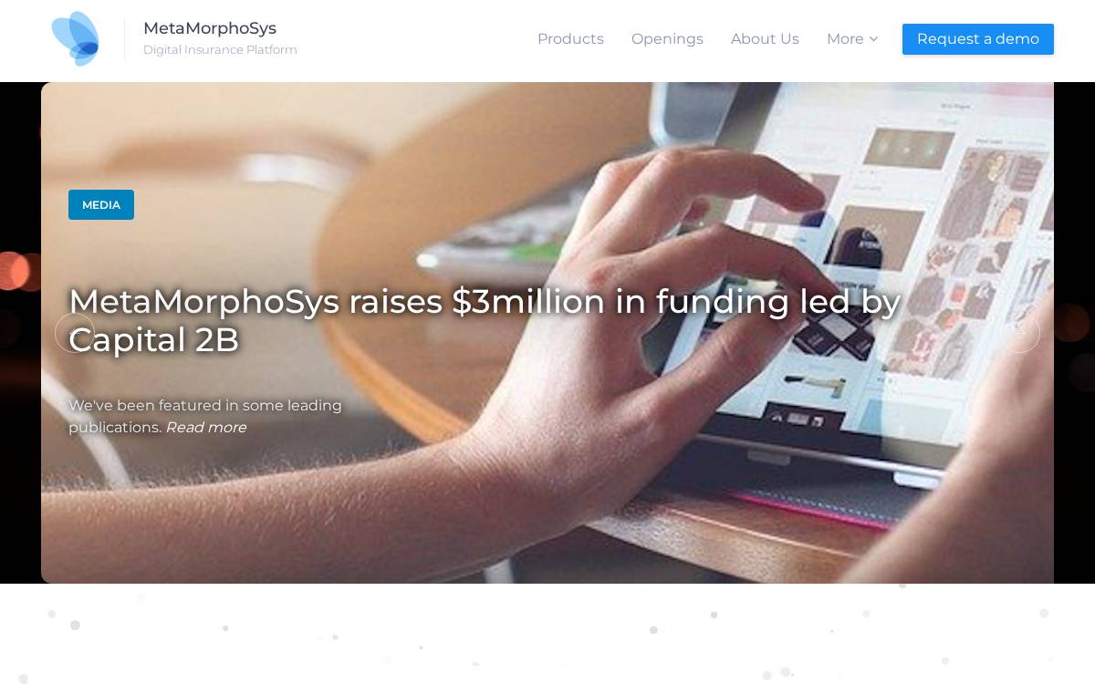 Metamorphosys website preview