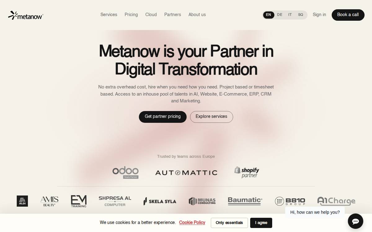 Metanow website preview