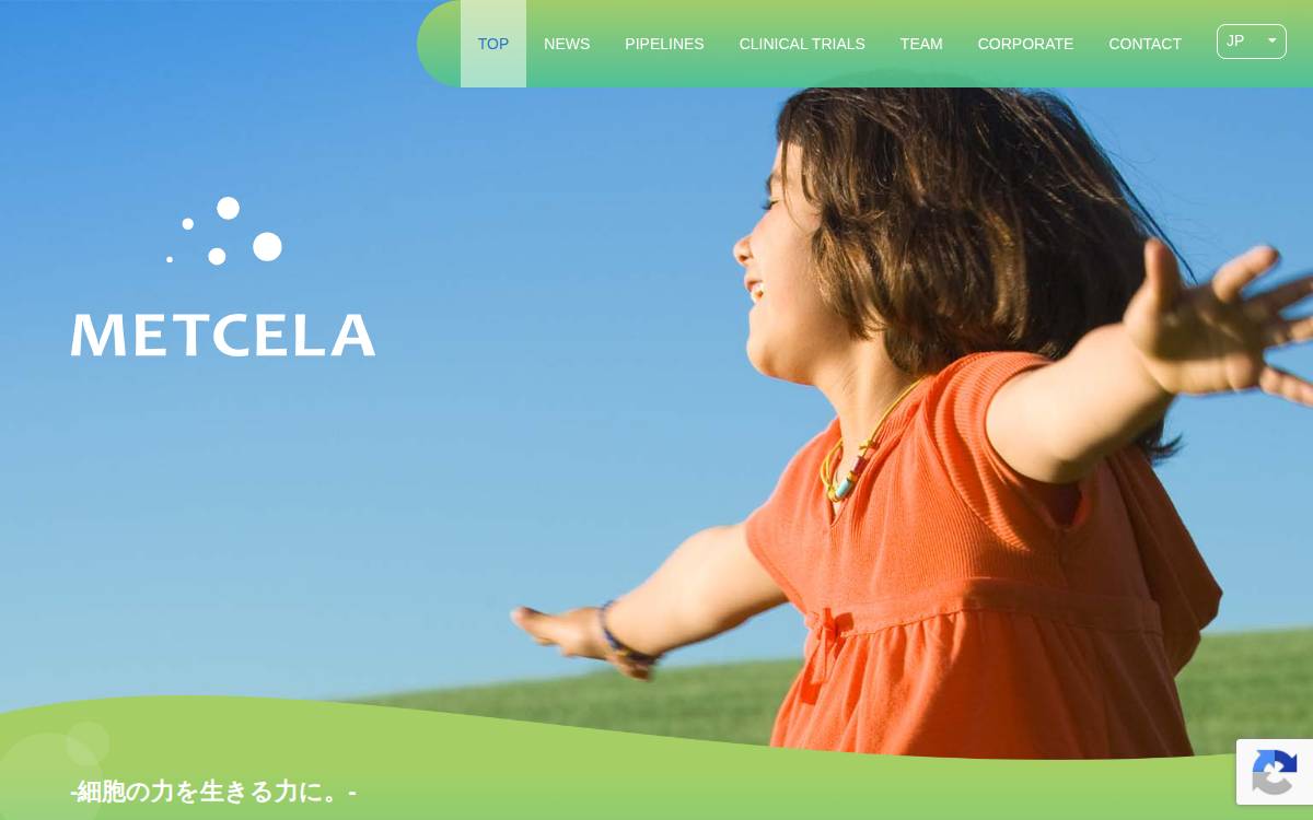 Metcela website preview