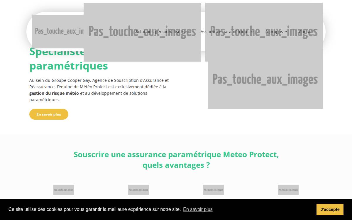 Meteoprotect website preview