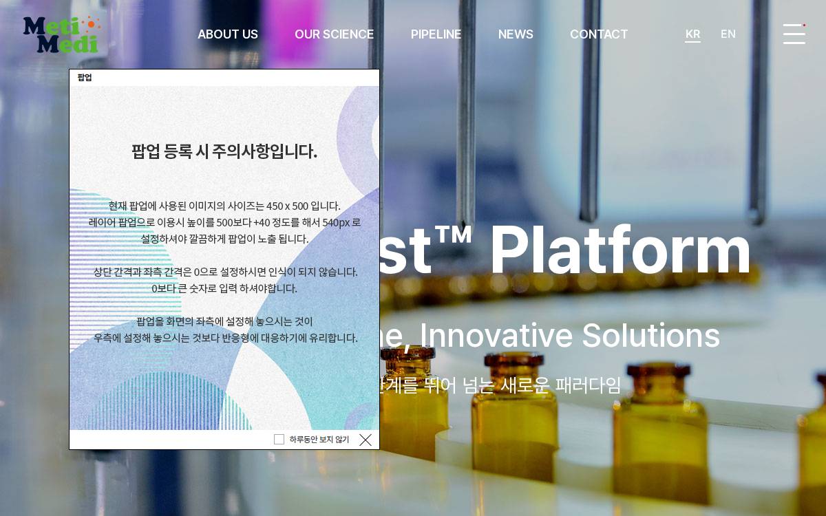 MetiMedi website preview