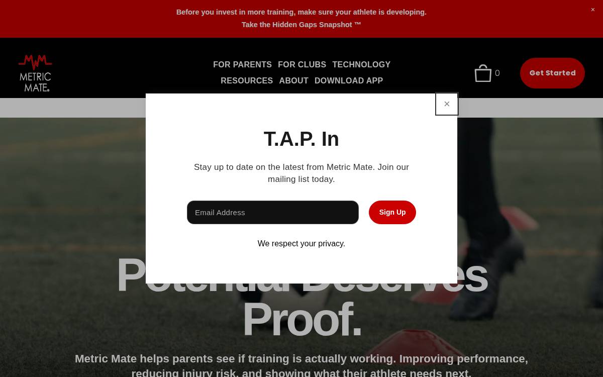 Metric Mate website preview