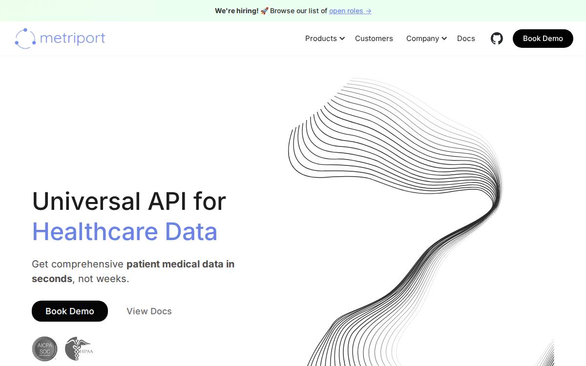 Metriport website preview