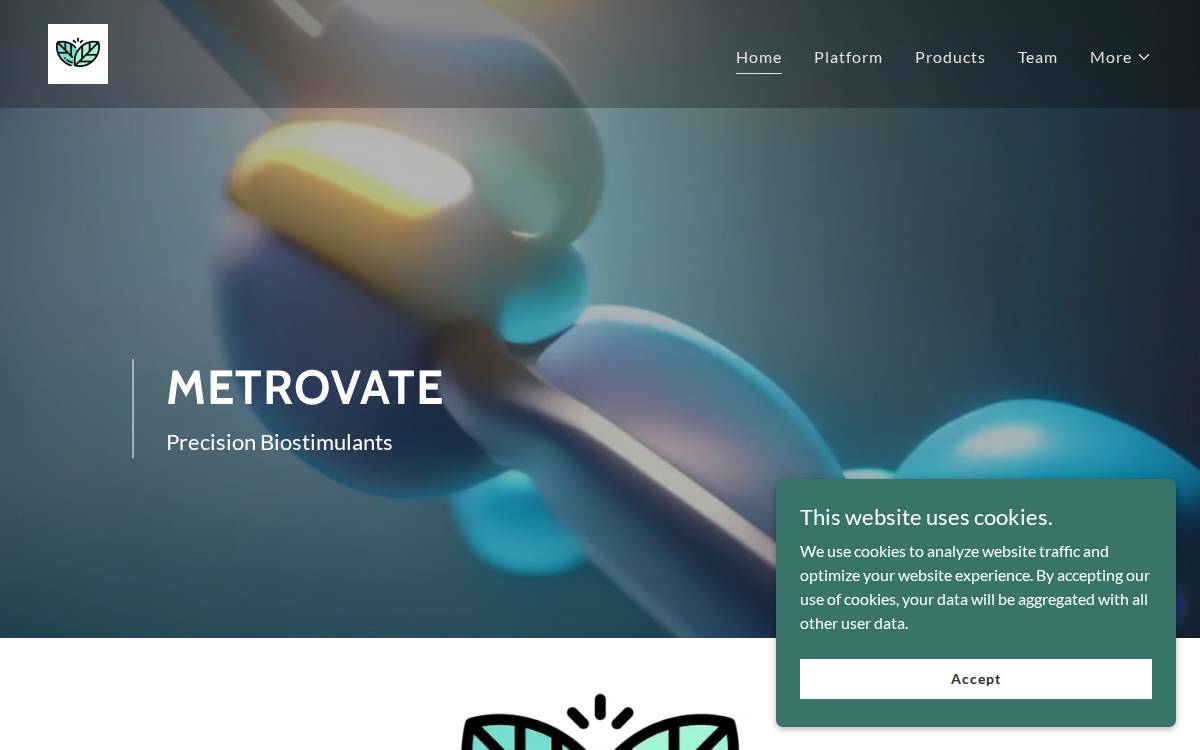 Metrovate website preview