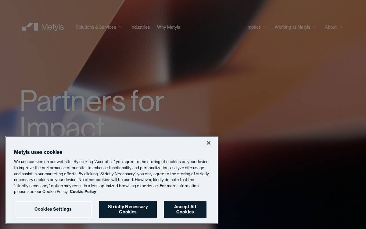 Metyis website preview